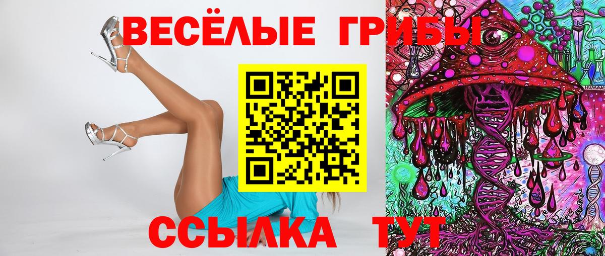Псилоцибиновые грибы мицелий  продажа наркотиков  Дятьково  Псилоцибиновые грибы мухоморы  Вход с VPN 